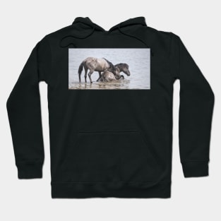 Cooling down Hoodie